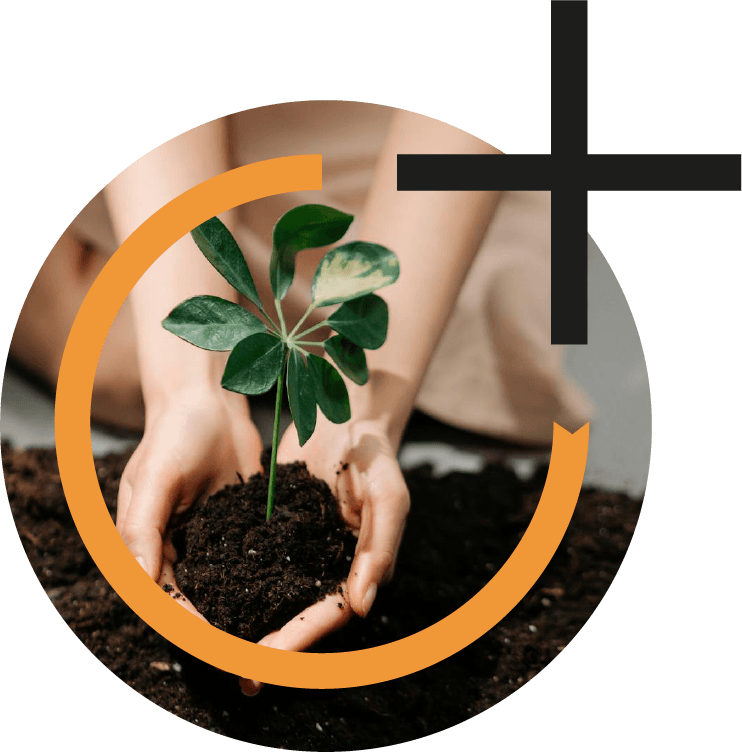 homa logo